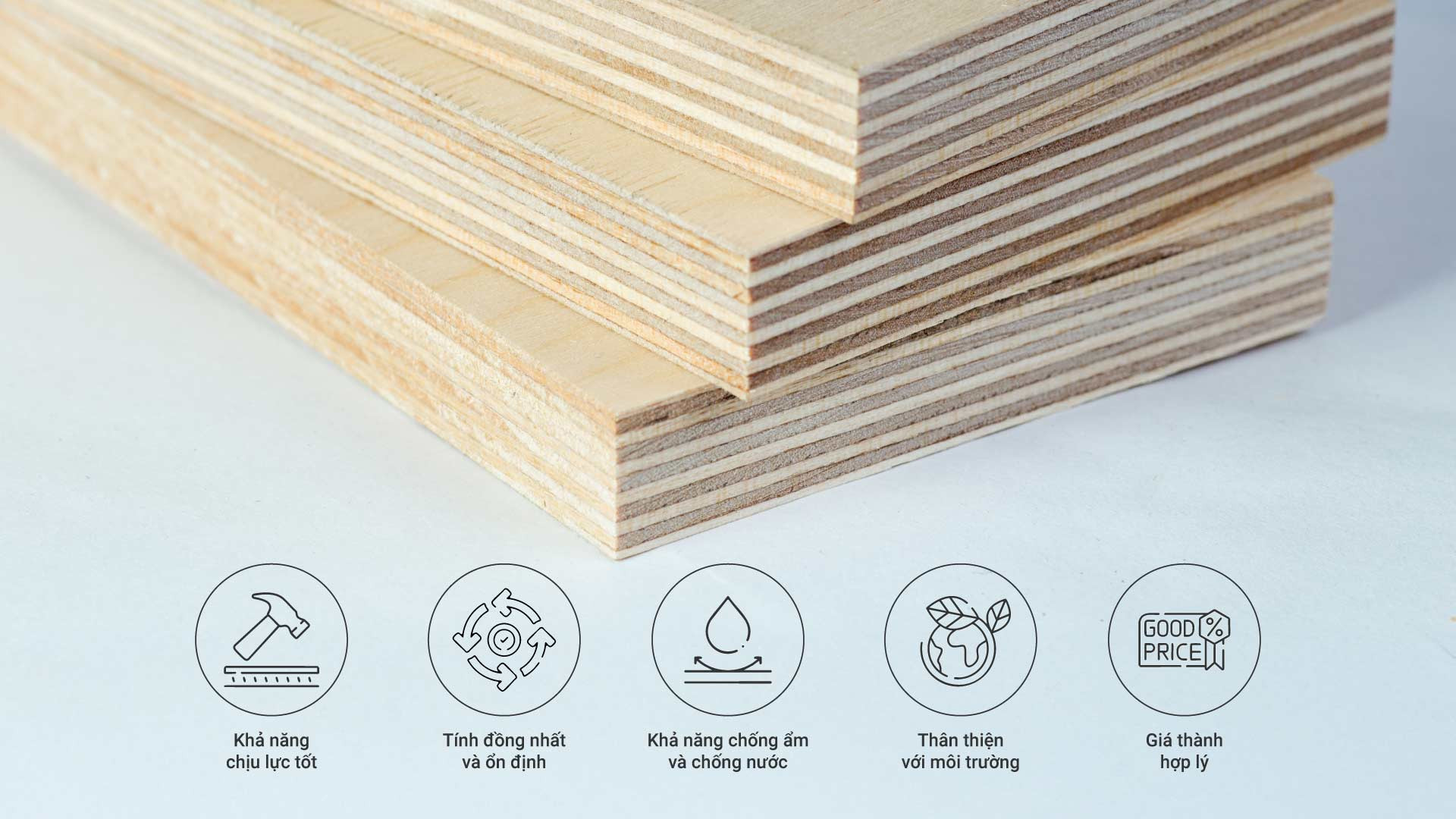 Go Ep Plywood