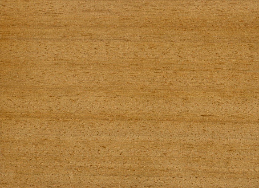 GoGo1